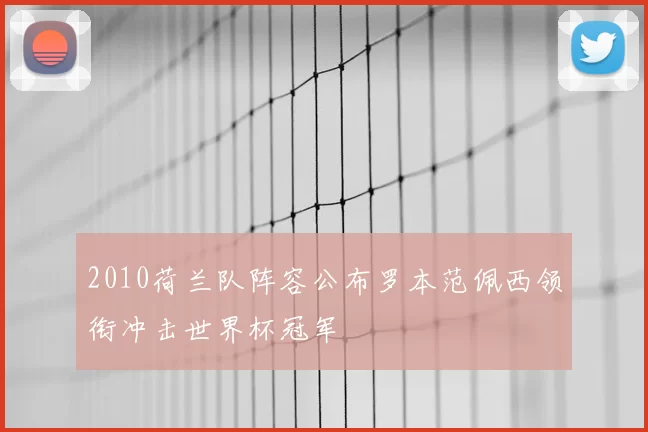 2010荷兰队阵容公布罗本范佩西领衔冲击世界杯冠军