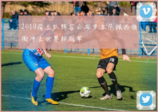 2010荷兰队阵容公布罗本范佩西领衔冲击世界杯冠军